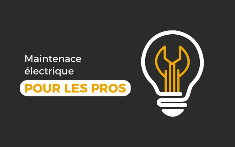 Besoin d'un coup de main fiable pour maintenance électrique ? , Eclassan, Perrier EGM